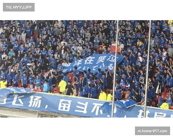 浦和红钻球迷因球队表现不佳决定不再为其助威 浦和红钻球迷因球队表现不佳决定不再为其助威